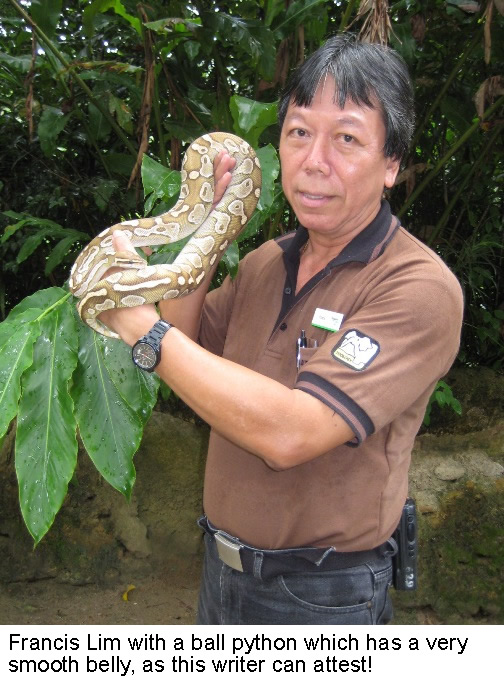 The reptile man