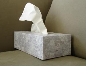 Arm yourself against the flu