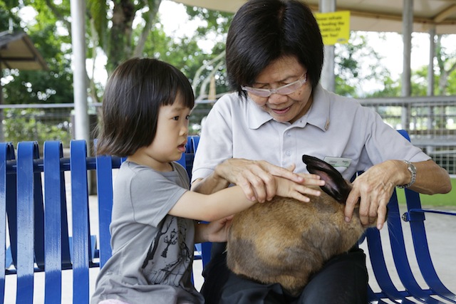 A passion for animals